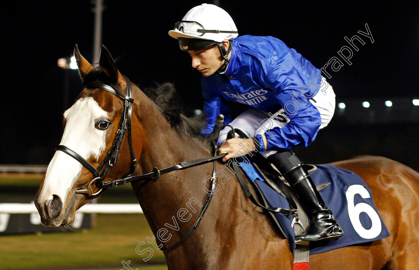 Endless-Echoes-0001 
 ENDLESS ECHOES (Luke Morris) winner of The Ladbrokes Home Of The Odds Boost Fillies Novice Stakes
Wolverhampton 20 Jan 2020 - Pic Steven Cargill / Racingfotos.com