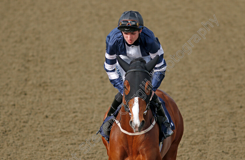 Stormbreaker 
 STORMBREAKER (Darragh Keenan)
Lingfield 9 Mar 2022 - Pic Steven Cargill / Racingfotos.com