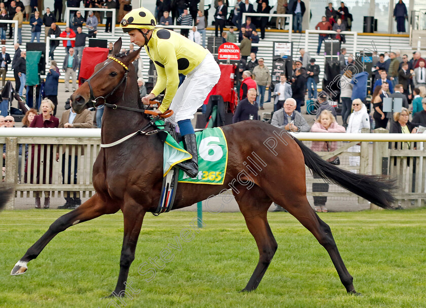 Novakai-0001 
 NOVAKAI (William Buick)
Newmarket 7 Oct 2022 - Pic Steven Cargill / Racingfotos.com