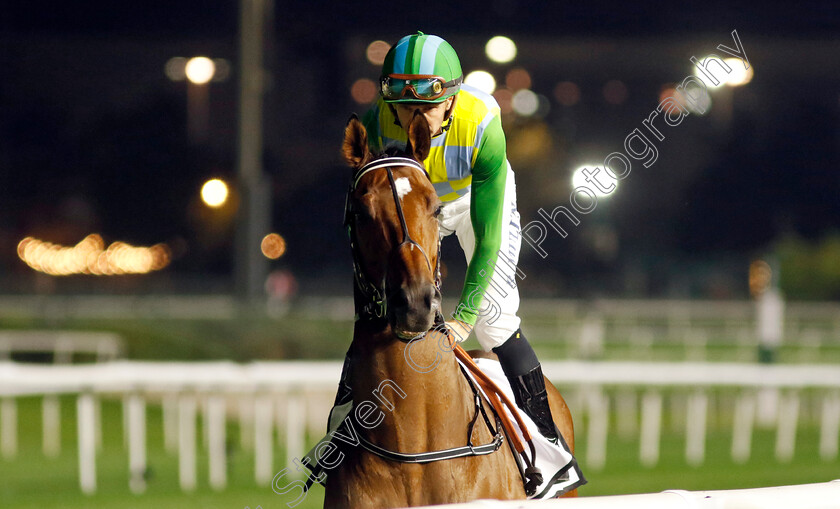 Al-Shibli-0001 
 AL SHIBLI (Richard Mullen)
Meydan 2 Feb 2024 - Pic Steven Cargill / Racingfotos.com