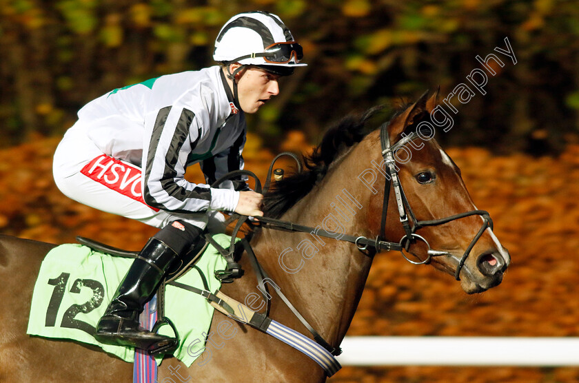 Dizziwizzbang-0001 
 DIZZIWIZZBANG (Tyler Heard)
Kempton 6 Dec 2023 - Pic Steven Cargill / Racingfotos.com