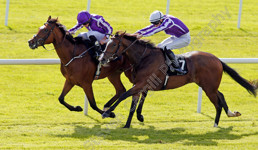 Happily-0004 
 HAPPILY (right, Donnacha O'Brien) beats MAGICAL (farside) in The Moyglare Stud Stakes Curragh 10 Sep 2017 - Pic Steven Cargill / Racingfotos.com