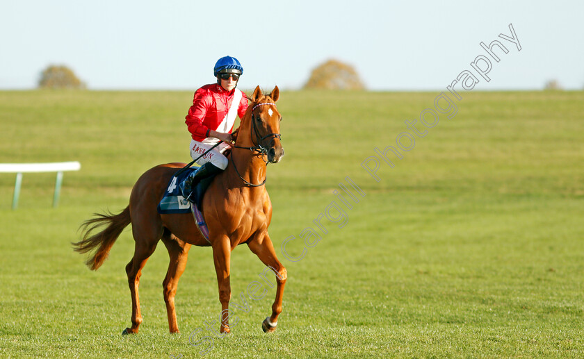 King-Of-Ice-0001 
 KING OF ICE (Tom Marquand)
Newmarket 20 Oct 2021 - Pic Steven Cargill / Racingfotos.com