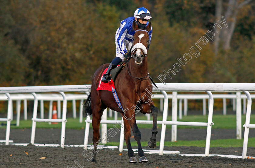 Alounak-0001 
 ALOUNAK (Silvestre De Sousa)
Kempton 2 Nov 2020 - Pic Steven Cargill / Racingfotos.com