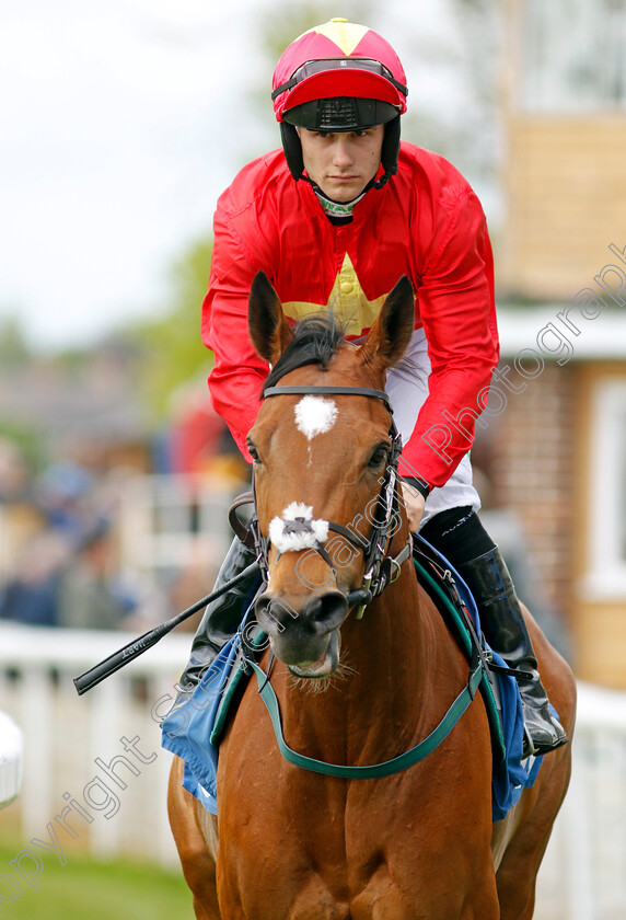 Highfield-Princess-0002 
 HIGHFIELD PRINCESS (Jason Hart) winner of The 1895 Duke Of York Clipper Logisitics Stakes
York 11 May 2022 - Pic Steven Cargill / Racingfotos.com