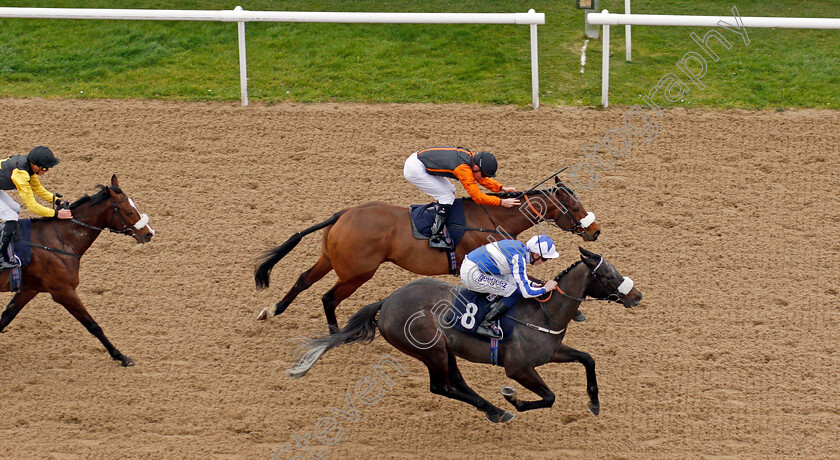 Notre-Belle-Bete-0008 
 NOTRE BELLE BETE (nearside, David Probert) beats BALDOMERO (farside) in The Mansionbet Lincoln Trial Handicap
Wolverhampton 12 Mar 2022 - Pic Steven Cargill / Racingfotos.com