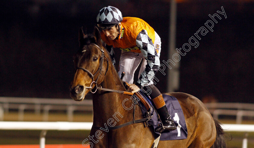 Sam-Missile-0001 
 SAM MISSILE (Dougie Costello) Wolverhampton 15 Jan 2018 - Pic Steven Cargill / Racingfotos.com