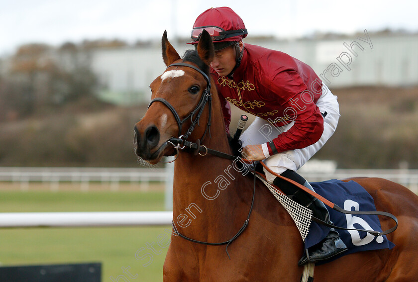 Narrative-0001 
 NARRATIVE (Tom Marquand)
Wolverhampton 28 Nov 2018 - Pic Steven Cargill / Racingfotos.com