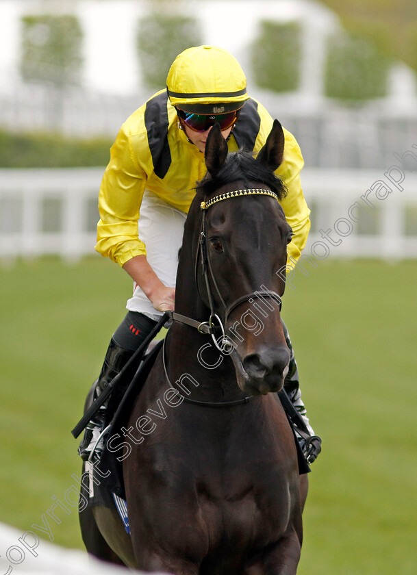 Maljoom-0002 
 MALJOOM (Tom Marquand)
Ascot 1 May 2024 - Pic Steven Cargill / Racingfotos.com