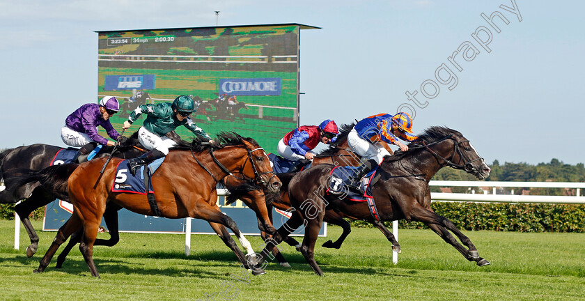 Auguste-Rodin-0004 
 AUGUSTE RODIN (Ryan Moore) beats NASHWA (left) in The Royal Bahrain Irish Champion Stakes
Leopardstown 9 Sep 2023 - Pic Steven Cargill / Racingfotos.com