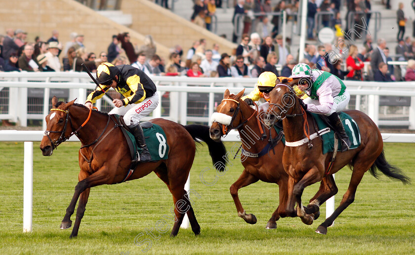 Mystic-Dreamer-0002 
 MYSTIC DREAMER (Leighton Aspell) beats FLORESSA (right) in The Spreadex Sports Betting Mares Standard Open National Hunt Flat Race
Cheltenham 18 Apr 2019 - Pic Steven Cargill / Racingfotos.com