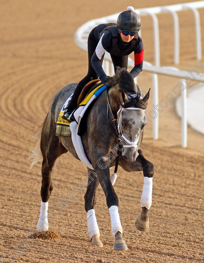 Colonel-Liam-0003 
 COLONEL LIAM training for the Dubai Turf
Meydan, Dubai, 23 Mar 2022 - Pic Steven Cargill / Racingfotos.com