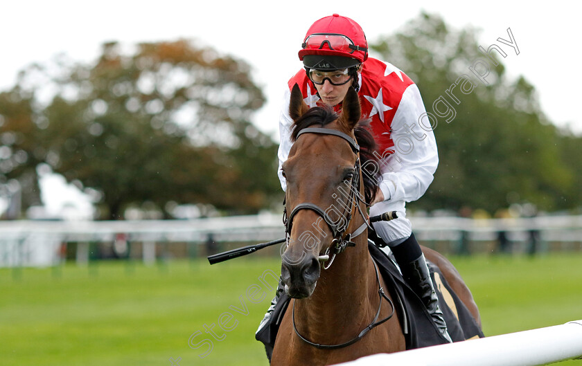 Al-Nayyir-0007 
 AL NAYYIR (Luke Morris) wins The Jockey Club Rose Bowl Stakes
Newmarket 26 Sep 2024 - Pic Steven Cargill / Racingfotos.com