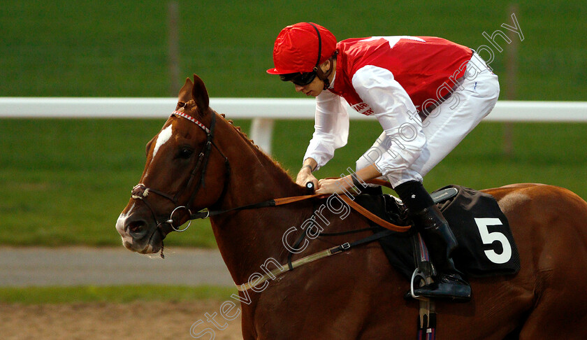 Roof-Garden-0004 
 ROOF GARDEN (Louis Steward) wins The Bet totequadpot At totesport.com Handicap
Chelmsford 6 Sep 2018 - Pic Steven Cargill / Racingfotos.com