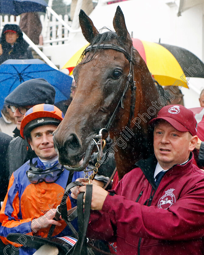 Paddington-0011 
 PADDINGTON (Ryan Moore) winner of The Qatar Sussex Stakes
Goodwood 2 Aug 2023 - Pic Steven Cargill / Racingfotos.com