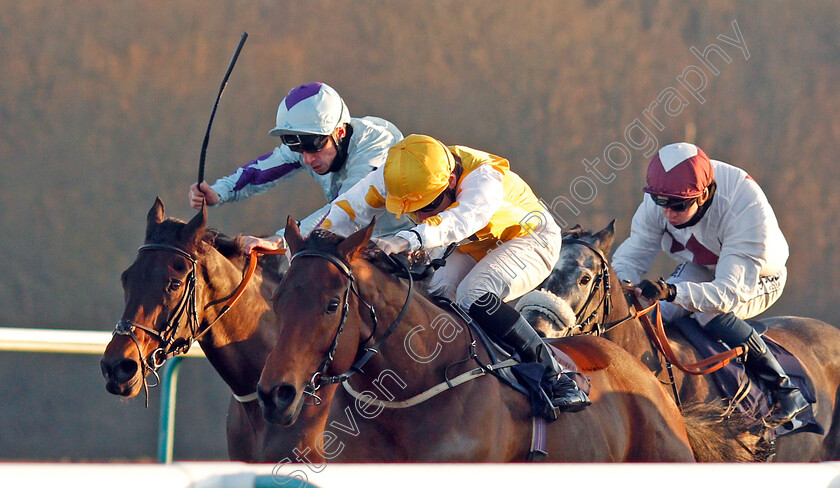 Mamillius-0003 
 MAMILLIUS (left, Shane Kelly) beats INVINCIBLE LARNE (right) in The Play 4 To Win At Betway Handicap
Lingfield 9 Jan 2021 - Pic Steven Cargill / Racingfotos.com