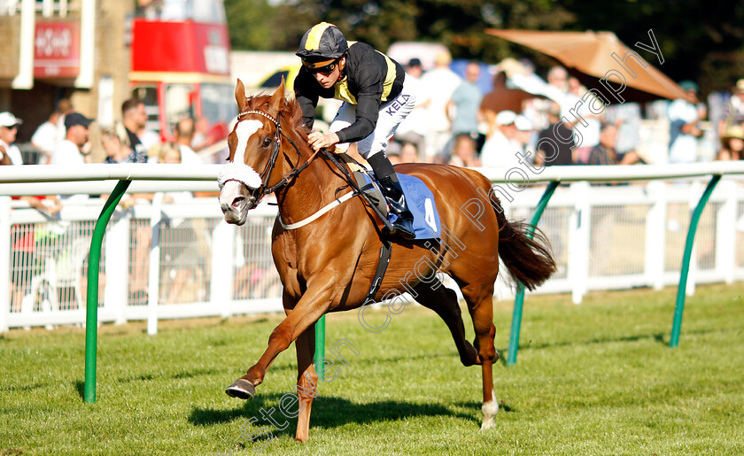 Whimsy-0006 
 WHIMSY (Jason Watson) wins The Kevin Hall & Pat Boakes Memorial Handicap
Salisbury 11 Aug 2022 - Pic Steven Cargill / Racingfotos.com