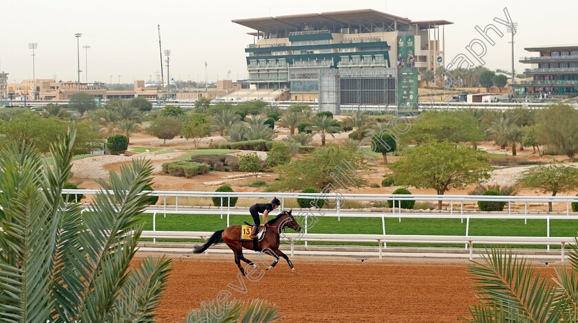 The-Foxes-0001 
 THE FOXES training for The Neom Turf Cup
King Abdulaziz Racetrack, Saudi Arabia 22 Feb 2024 - Pic Steven Cargill / Racingfotos.com