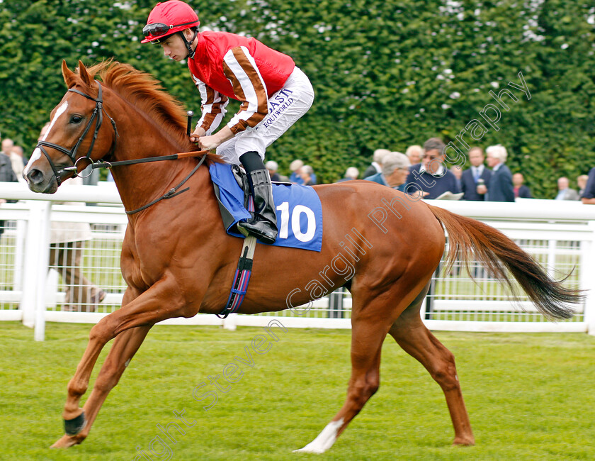 Pippin-0001 
 PIPPIN (Oisin Murphy) Salisbury 7 Sep 2017 - Pic Steven Cargill / Racingfotos.com