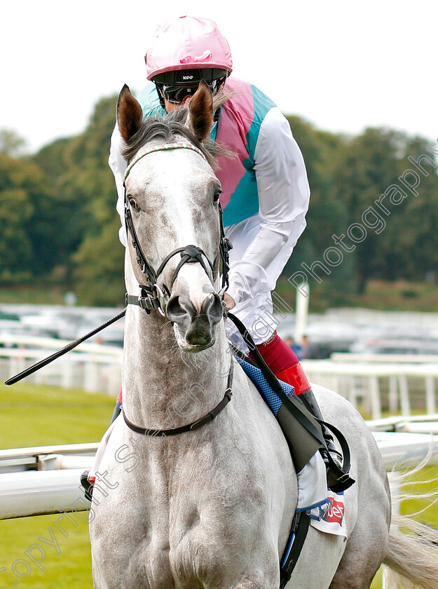 Logician-0001 
 LOGICIAN (Frankie Dettori) before The Sky Bet Great Voltigeur Stakes
York 21 Aug 2019 - Pic Steven Cargill / Racingfotos.com