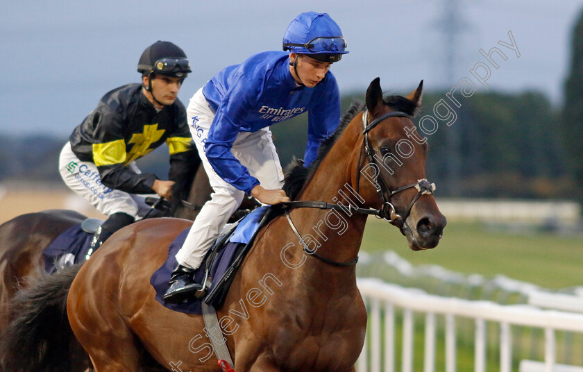 Castle-Peak-0002 
 CASTLE PEAK (Harry Davies)
Southwell 4 Oct 2022 - Pic Steven Cargill / Racingfotos.com