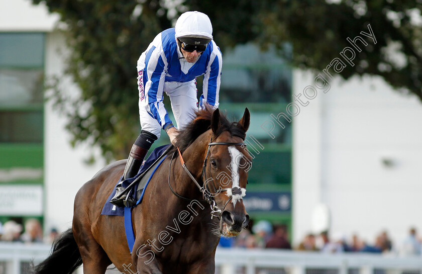 Winter-Reprise-0001 
 WINTER REPRISE (Robert Havlin)
Yarmouth 17 Sep 2024 - Pic Steven Cargill / Racingfotos.com