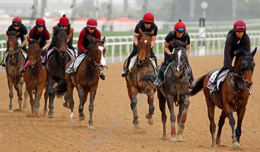 Tower-Of-London,-Auguste-Rodin-and-Luxembourg-0001 
 TOWER OF LONDON leads AUGUSTE RODIN (2nd right) and LUXEMBOURG at the head of Aidan O'Brien's string training at the Dubai World Cup
Meydan Dubai 26 Mar 2024 - Pic Steven Cargill / Racingfotos.com