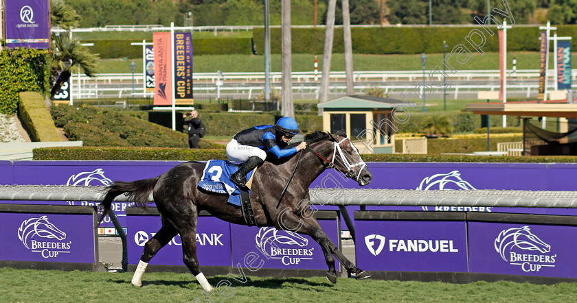 Lord-Bullingdon-0004 
 LORD BULLINGDON (Umberto Rispoli) wins The Qatar Golden Mile
Santa Anita 3 Nov 2023 - Pic Steven Cargill / Racingfotos.com