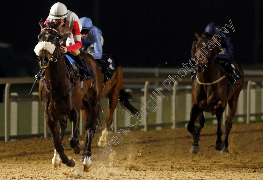 Arlo s-Sunshine-0002 
 ARLO'S SUNSHINE (Kieran O'Neill) wins The Mansionbet Beaten By A Head Classified Stakes
Southwell 3 Mar 2022 - Pic Steven Cargill / Racingfotos.com