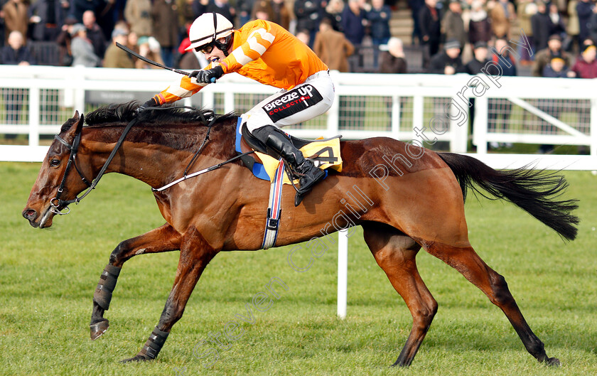 Fakir-D Oudairies-0005 
 FAKIR D'OUDAIRIES (J J Slevin) wins The JCB Triumph Trial Juvenile Hurdle
Cheltenham 26 Jan 2019 - Pic Steven Cargill / Racingfotos.com