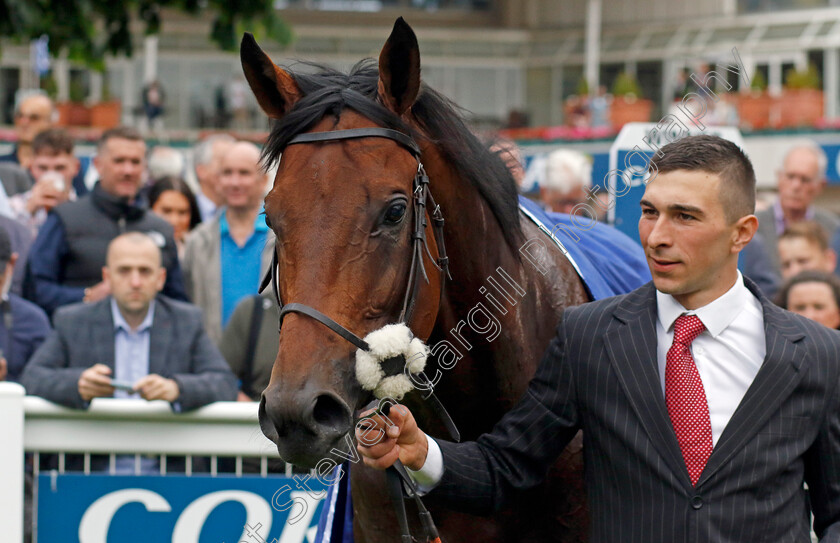 Bay-Bridge-0009 
 BAY BRIDGE winner of The Coral Brigadier Gerard Stakes
Sandown 26 May 2022 - Pic Steven Cargill / Racingfotos.com