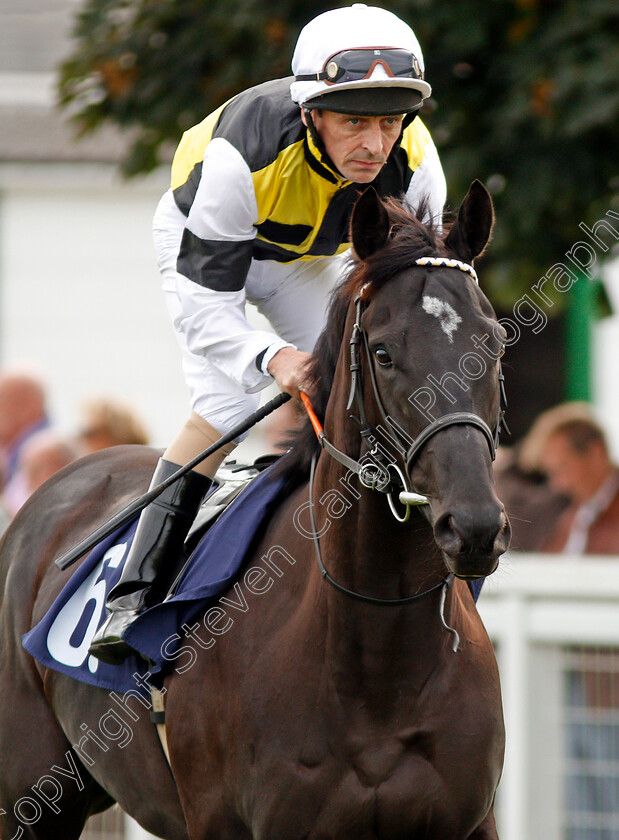 Launceston-Place-0002 
 LAUNCESTON PLACE (Ted Durcan) Yarmouth 20 Sep 2017 - Pic Steven Cargill / Racingfotos.com