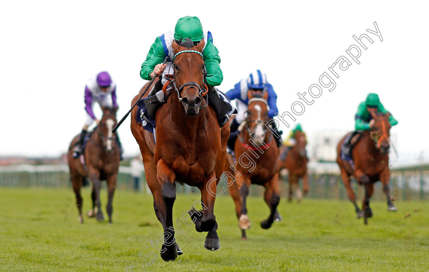 One-Master-0003 
 ONE MASTER (Ryan Moore) wins The Parkdean Resorts The Broads Maiden Stakes Yarmouth 19 Sep 2017 - Pic Steven Cargill / Racingfotos.com