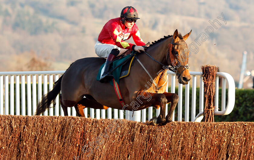 Cogry-0001 
 COGRY (Sam Twiston-Davies) wins The CF Roberts 25 Years Of Sponsorship Handicap Chase
Cheltenham 14 Dec 2018 - Pic Steven Cargill / Racingfotos.com