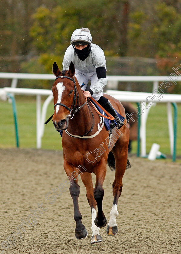 Tropical-Cyclone-0001 
 TROPICAL CYCLONE (Ben Curtis)
Lingfield 26 Mar 2021 - Pic Steven Cargill / Racingfotos.com