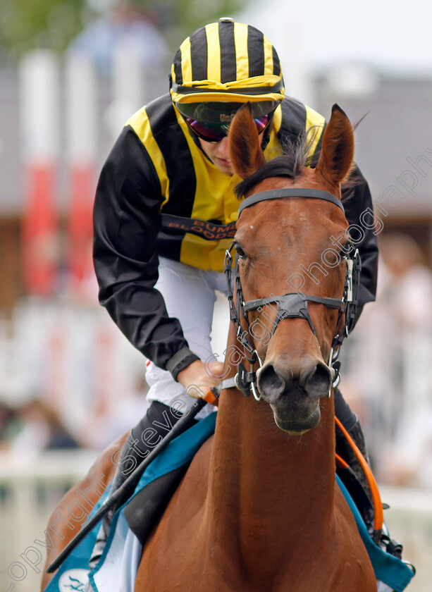 Zouky-0001 
 ZOUKY (Tom Marquand)
York 17 Jun 2023 - Pic Steven Cargill / Racingfotos.com