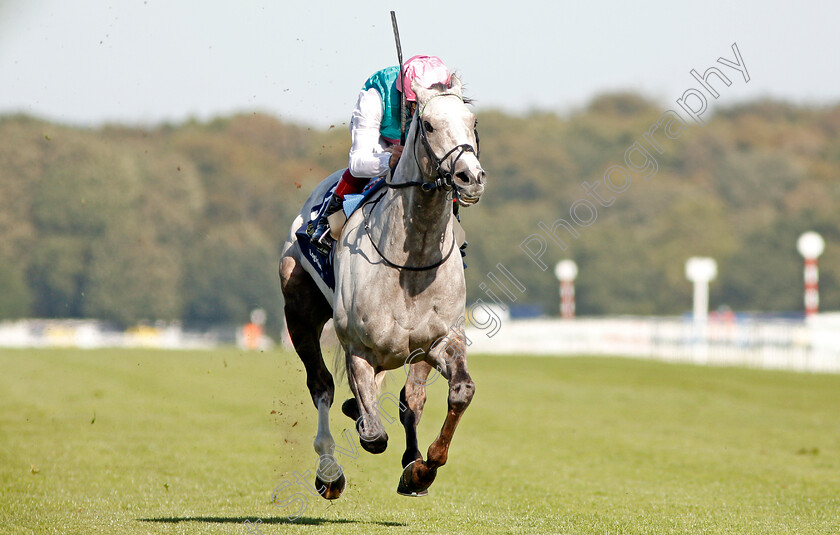 Logician-0016 
 LOGICIAN (Frankie Dettori) wins The William Hill St Leger Stakes
Doncaster 14 Sep 2019 - Pic Steven Cargill / Racingfotos.com