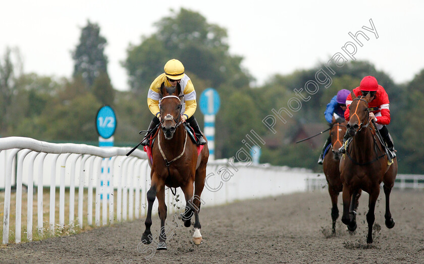 Quiet-Endeavour-0004 
 QUIET ENDEAVOUR (Hollie Doyle) wins The Call Star Sports On 08000 521 321 Nursery
Kempton 15 Aug 2018 - Pic Steven Cargill / Racingfotos.com