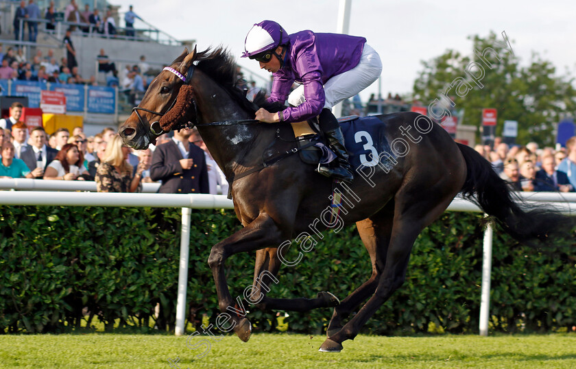 Baradar-0002 
 BARADAR (William Buick) wins The Doncaster Groundworks Reinforcements Handicap
Doncaster 15 Sep 2023 - Pic Steven Cargill / Racingfotos.com