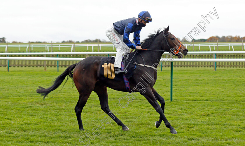 Rania-0001 
 RANIA (Jason Watson)
Newmarket 30 Oct 2020 - Pic Steven Cargill / Racingfotos.com