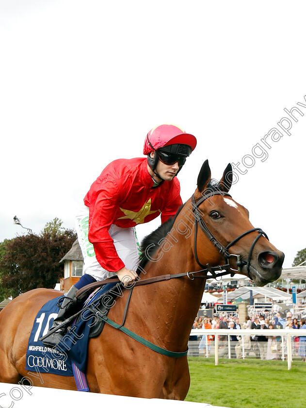 Highfield-Princess-0001 
 HIGHFIELD PRINCESS (Jason Hart)
York 25 Aug 2023 - Pic Steven Cargill / Racingfotos.com