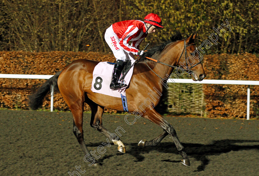 Qayed-0001 
 QAYED (Jamie Spencer) Kempton 20 Dec 2017 - Pic Steven Cargill / Racingfotos.com