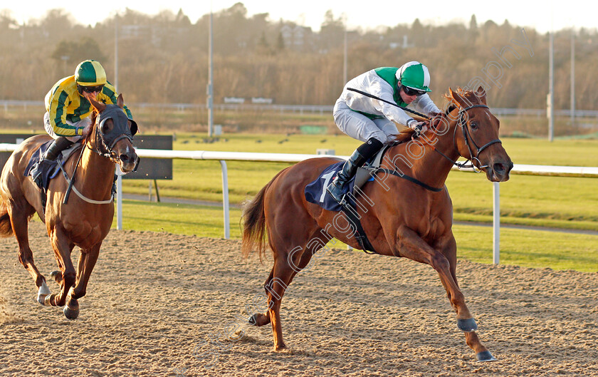 Invitational-0005 
 INVITATIONAL (Jack Mitchell) wins The Ladbrokes Where The Nation Plays Fillies Stakes
Wolverhampton 3 Jan 2020 - Pic Steven Cargill / Racingfotos.com