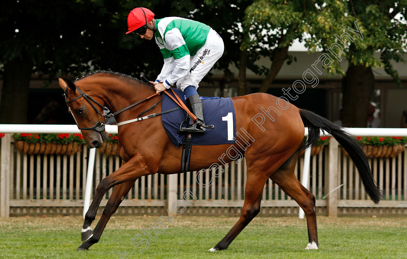 Blissful-Beauty-0002 
 BLISSFUL BEAUTY (Jim Crowley)
Newmarket 20 Jul 2018 - Pic Steven Cargill / Racingfotos.com