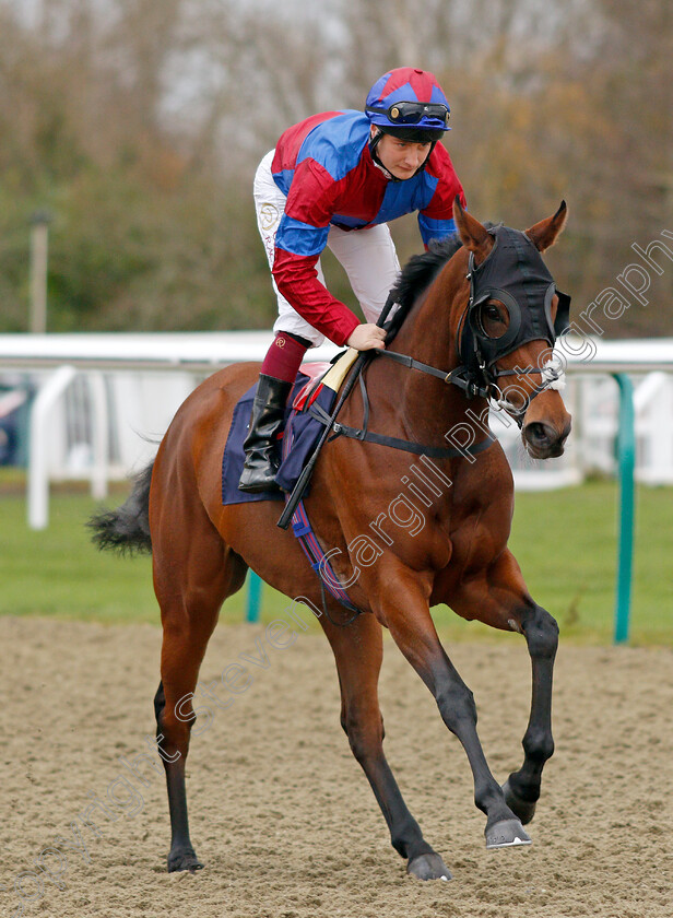 Lovely-Breeze-0001 
 LOVELY BREEZE (Cieren Fallon)
Lingfield 1 Dec 2021 - Pic Steven Cargill / Racingfotos.com