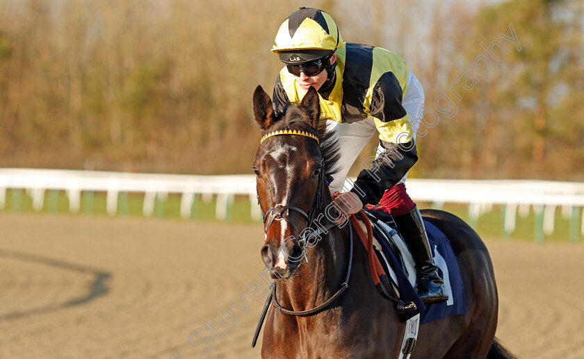 Island-Hideaway-0001 
 ISLAND HIDEAWAY (George Rooke) before The Ladbrokes Where The Nation Plays Handicap
Lingfield 10 Jan 2020 - Pic Steven Cargill / Racingfotos.com