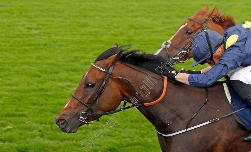 Sea-Theme-0002 
 SEA THEME (Tom Marquand) wins The British EBF & Sir Henry Cecil Galtres Stakes
York 24 Aug 2023 - Pic Steven Cargill / Racingfotos.com