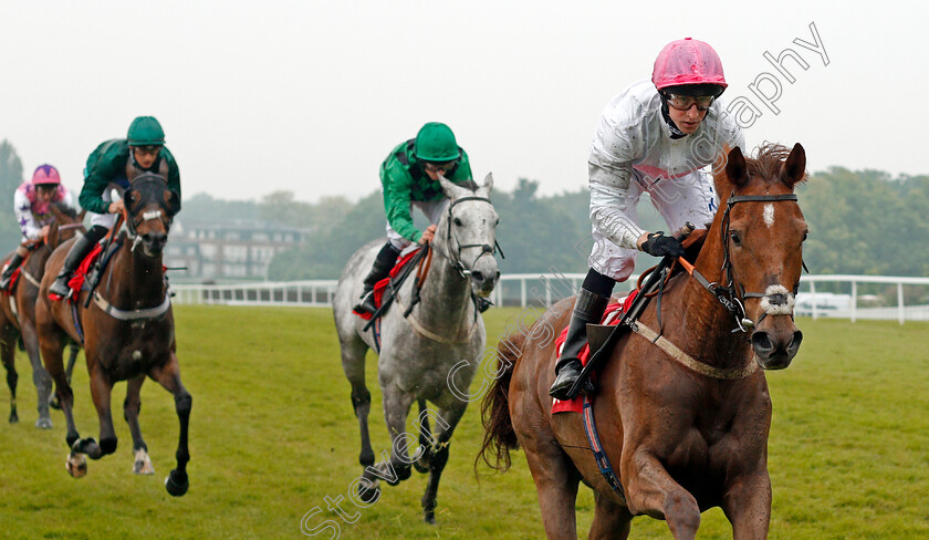 What-A-Welcome-0003 
 WHAT A WELCOME (Joey Haynes) wins The Matchbook Betting Exchange Handicap Sandown 24 May 2018 - Pic Steven Cargill / Racingfotos.com