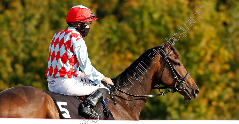 Red-For-All-0001 
 RED FOR ALL (Ryan Moore)
Chelmsford 20 Sep 2020 - Pic Steven Cargill / Racingfotos.com