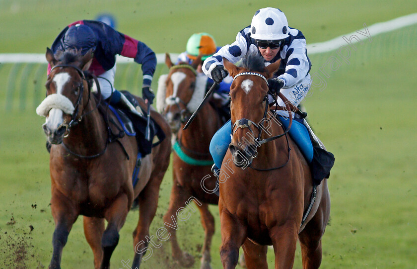 Rebel-Territory-0004 
 REBEL TERRITORY (Jim Crowley) wins The 888sport What's Your Thinking Handicap
Newmarket 30 Oct 2021 - Pic Steven Cargill / Racingfotos.com